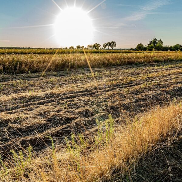 Heat wave hits parts of India, temp crosses 40°C, weather office warns of more heatwaves ahead