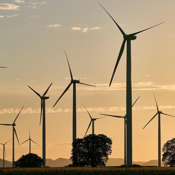 India Recorded Largest Emissions Drop in 2025 as Power Sector Pollution Declined: Report