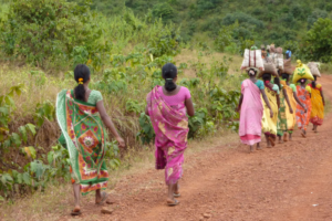 Conservationists demand withdrawal of relocation of forest dwelling communities