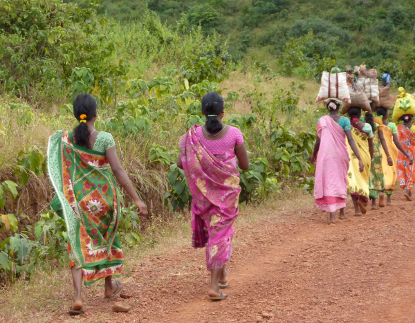 Conservationists demand withdrawal of relocation of forest dwelling communities