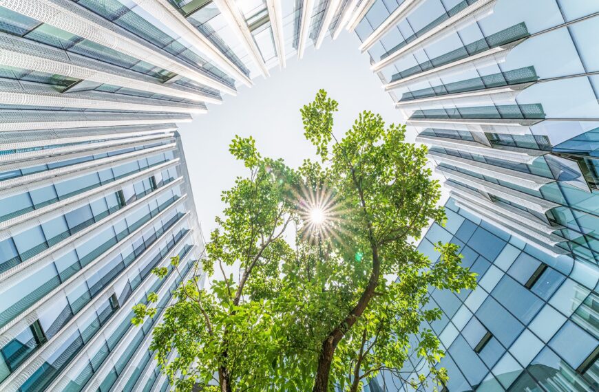 The rise of sustainability reporting and ESG investing