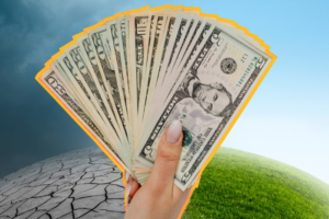 Finance bosses to skip COP29; new carbon market rules approved