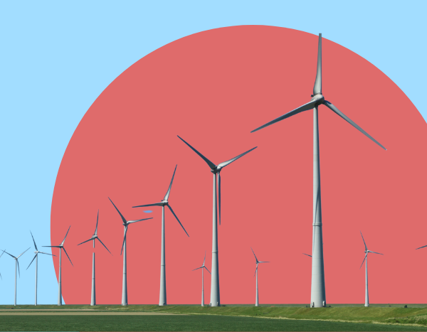 China to be the biggest contributor in doubling global wind capacity by 2030: Report