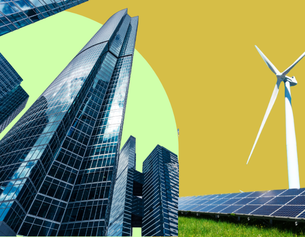 India Inc sluggish on decarbonisation and RE targets: Report