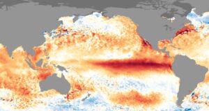 Climate change causing stronger El Ninos: Study