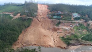 The perils of taking forests for granted