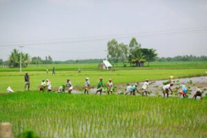 Only 0.3% of climate finance went to family farmers producing a third of the world’s food