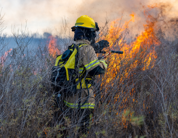Climate change fuelling the wildfire in Brazilian Pantanal : Study