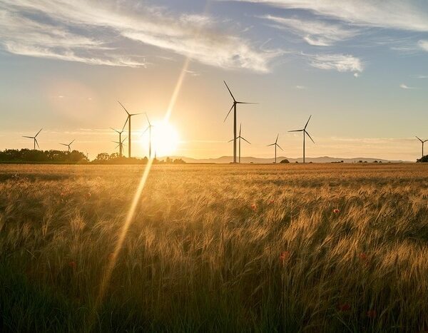 India’s total renewable energy capacity grows 17% to 227 GW in May: Pralhad Joshi