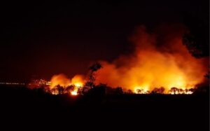 Experts link intensity of Sariska forest fire to climate change