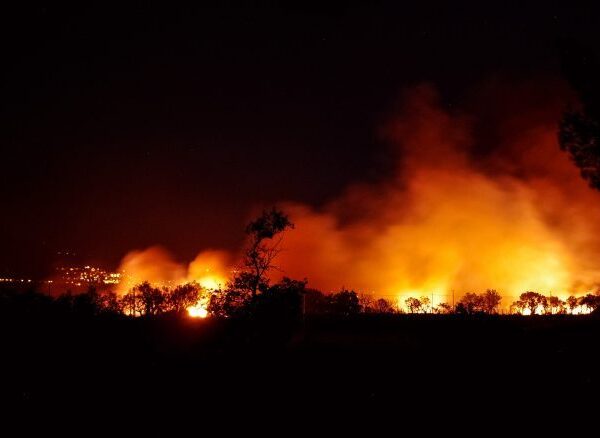 Experts link intensity of Sariska forest fire to climate change