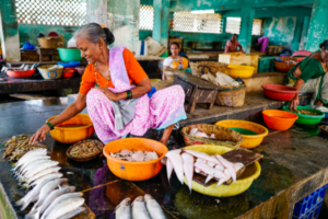 Seafood to lose nutritional value due to climate change: Study