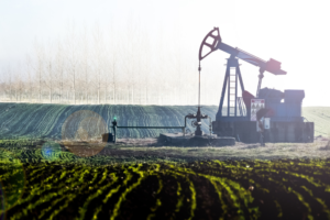 Russia announces 5% oil output cut in March, OPEC+ to keep its production targets unchanged