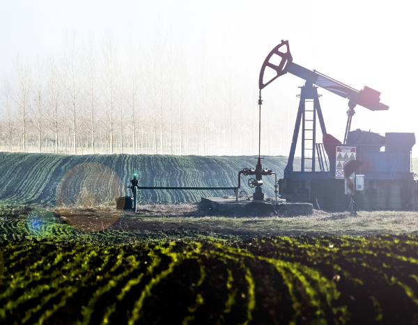 Russia announces 5% oil output cut in March, OPEC+ to keep its production targets unchanged