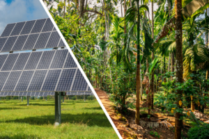 India cutting down emissions, adding to forest cover: Govt to UNFCCC