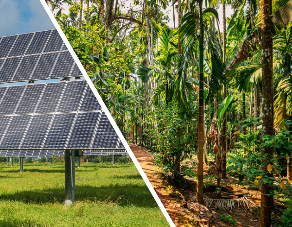 India cutting down emissions, adding to forest cover: Govt to UNFCCC