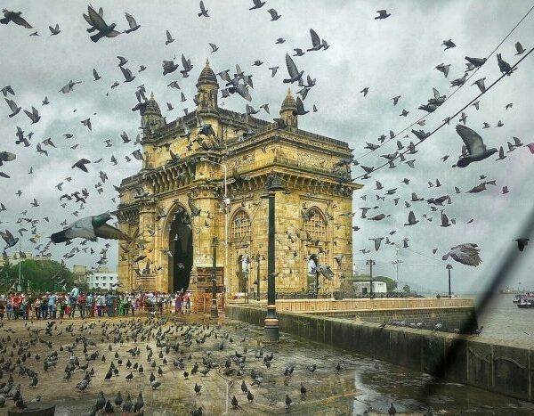 9 Indian states among world’s top 50 regions at risk of damage from climate change: Report