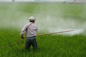 Pesticides Management Bill, 2025: Revised draft, but old gaps remain