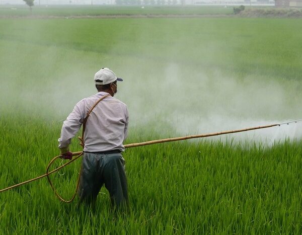 Pesticides Management Bill, 2025: Revised draft, but old gaps remain