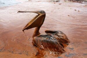 BARC develops biodegradable superabsorbent to soak up oil spills
