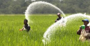 Will the new laws lead to more GHG emissions from India’s farms?