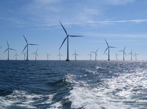 India needs judicious planning of land use for solar, wind projects to achieve RE goals: IEEFA