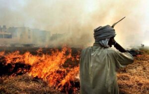 Stubble burning: India to set up National Mission for using biomass in coal plants