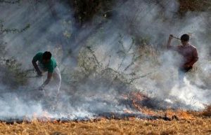 MoEF to table bill for panel on NCR air pollution, drops jail term clause for crop stubble burning