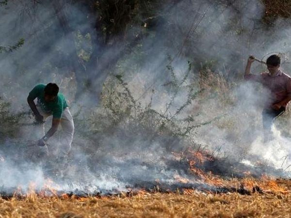 MoEF to table bill for panel on NCR air pollution, drops jail term clause for crop stubble burning