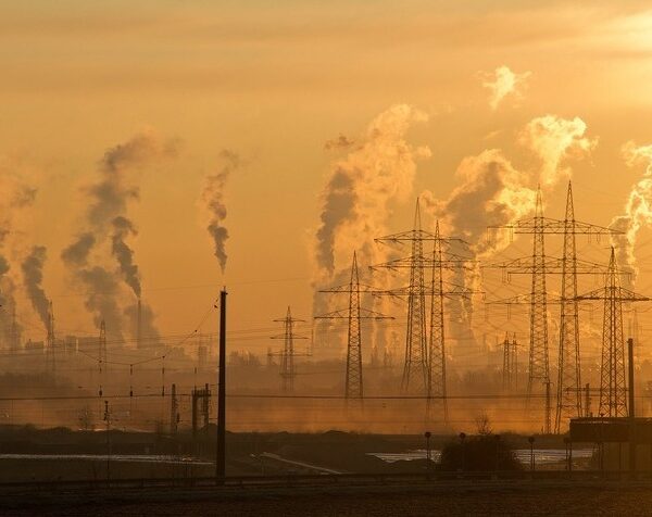 46% posts in pollution boards vacant, states and UTs miss NGT deadline to fill these