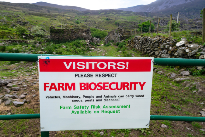 Invasive non-native species costing $423 billion annually: Report