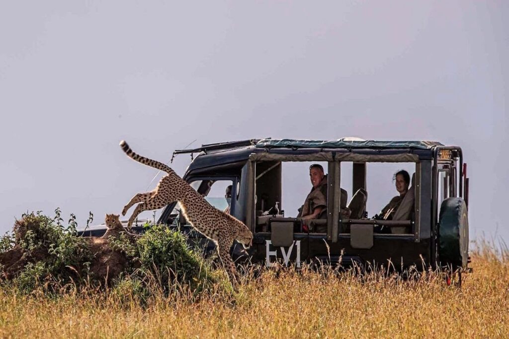 Kenya to switch to EVs only in its national parks and game reserves