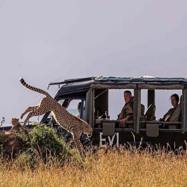 Kenya to switch to EVs only in its national parks and game reserves