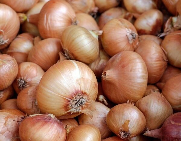 Climate Change Triggers Surge in Food Prices Globally: Report 