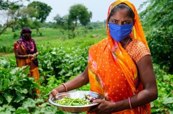 Greening NBFID: How India’s new institution for development finance can help meet its sustainable funding needs