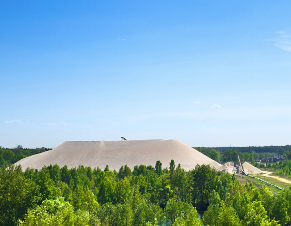 Part of Chambal wildlife sanctuary to be opened for sand mining