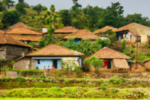 Study finds India’s implementation of Forest Rights Act to be poor