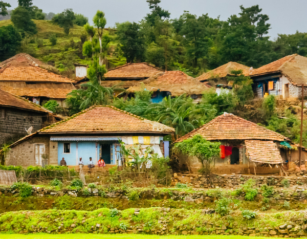 Study finds India’s implementation of Forest Rights Act to be poor