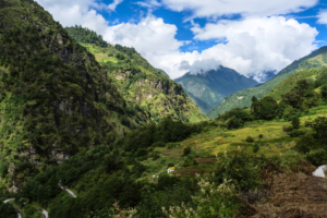 SC order to go by 1996 definition of forests a good move, but not ambitious enough: Experts