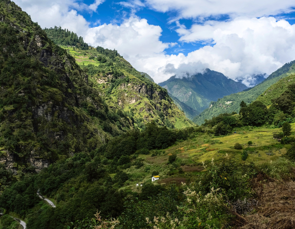 SC order to go by 1996 definition of forests a good move, but not ambitious enough: Experts