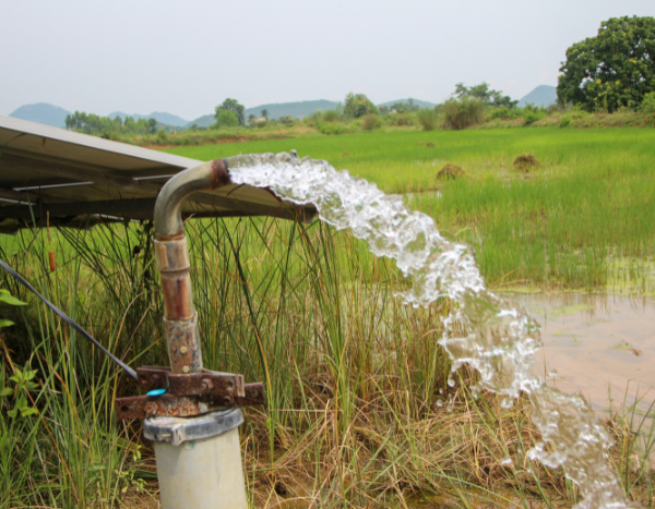 Pricing Energy for Groundwater: A Path to Sustainable Irrigation and Climate Resilience