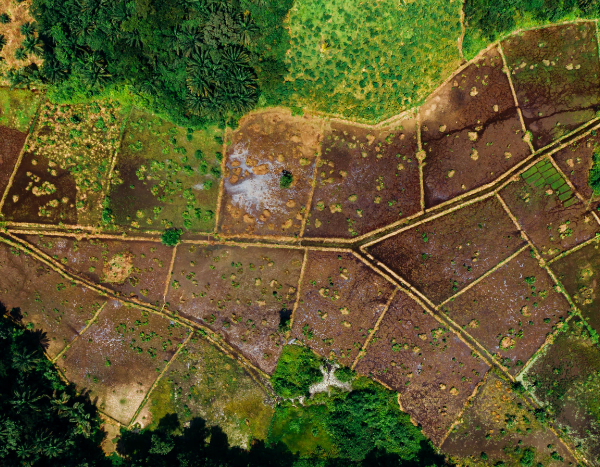 UN agrees to carbon market safeguards to tackle green land grabs