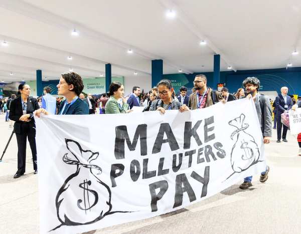 Not found: “Common ground” at COP29