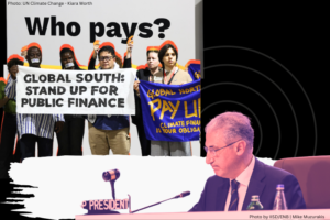 COP29 climate finance