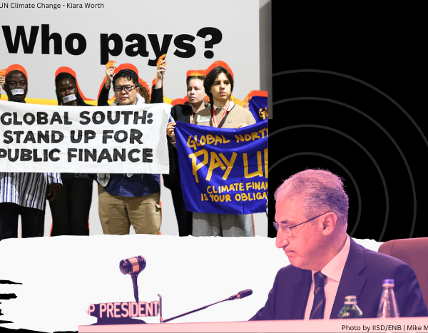 COP29 climate finance