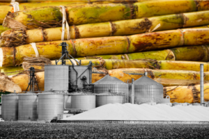 India: Sugar mills allowed to produce ethanol from cane juice starting November
