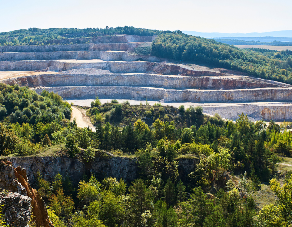 Centre’s panel says digging tunnel for mining under forest land ‘environment friendly activity’