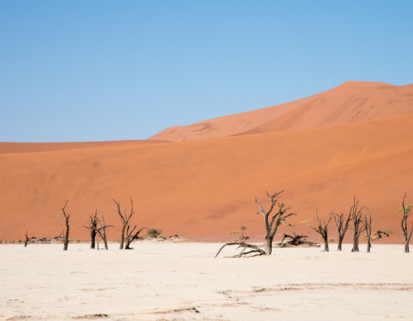 Rising drought and aridity leading to higher internal migration globally: Study