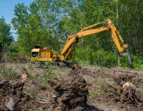 India eases forest rules to boost exploration of minerals 