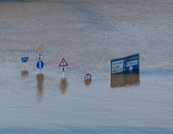 Environmental risks pose biggest threat globally over the coming decade: WEF survey
